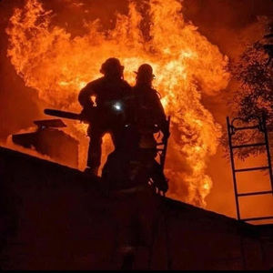 Meet your Posher, Bryan